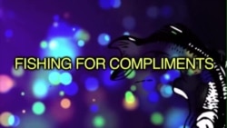 Thành ngữ tiếng Anh thông dụng: Fishing for compliments (VOA)