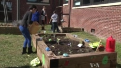 Schools Encourage Students to 'Grow Green'