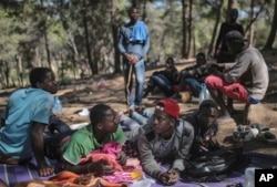 Sub-Saharan migrants aiming to cross to Europe take shelter in a forest overlooking the neighborhood of Masnana, on the outskirts of Tangier, Morocco, Sept. 5, 2018.