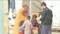 روایت امروز