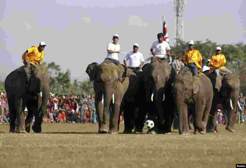 نیپال میں ہاتھی کھیل کے میدان میں