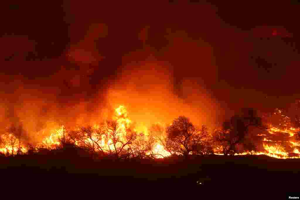 تصویری از آتش سوزی های مهیب در جنگل های کالیفرنیا