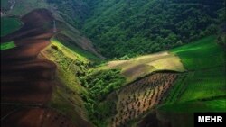قطع درختان و تغییر کاربری زمین ها، موجب از بین رفتن جنگل های شمال ایران شده است