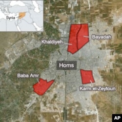 Activists Say Syrian Troops Kill 50 in Homs