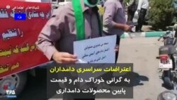 اعتراضات سراسری دامداران به گرانی خوراک دام و قیمت پایین محصولات دامداری 
