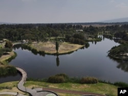 Trees surround a lake at Xochimilco Ecological Park in Mexico City, Feb. 11, 2025.