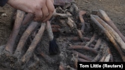 Seorang arkeolog menemukan kerangka di situs pemakaman era Viking di desa Aasum, Denmark, 25 September 2024. (Foto: Tom Little/REUTERS)