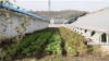 독일 NGO, 지난해 북한서 78만 달러 농업 지원