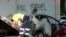 This frame grab from video provided by the Australian Broadcast Corporation Dec. 11, 2024, shows a police officer walking past a torched car being removed from in front of anti-Israel graffiti on a wall in a Sydney suburb (image partially blurred by VOA).