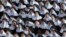 Nuns pray during a canonization ceremony in St. Peter's Square at the Vatican. Pope Francis canonized the Catholic Church's first married couple in modern times, declaring the parents of the beloved St. Therese of Lisieux saints in their own right.