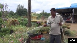 So Vun, 54, is a former Khmer Rouge soldier who lives in Por Tang Su village, Por Ya Kar commune in Pailin, is pictured watering his garden, August 04, 2016. (Neou Vannarin/VOA Khmer) 