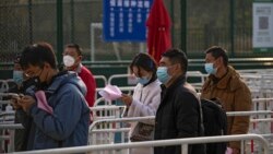 时事大家谈：“密切接触”晋级“时空伴随” 中国数码防疫令人生畏