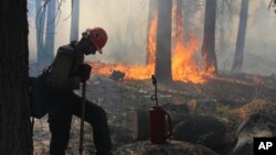 지난 4일 미국 서부 요세미티 국립공원에서 소방관들이 산불을 진압하고 있다.