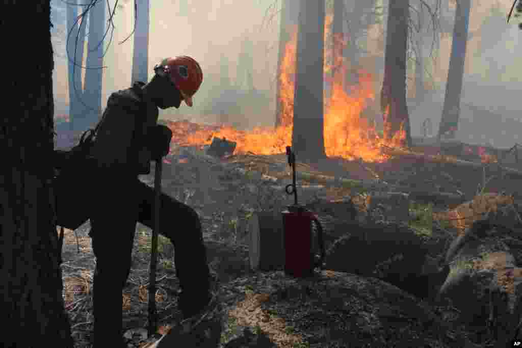 Một lính cứu hỏa nghỉ ngơi sau khi đã khống chế được ngọn lửa ở Horseshoe, trong lúc những toán cứu hỏa khác vẫn đang chiến đấu với đám cháy&nbsp; gần Công viên quốc gia Yosemite ở California, ngày 4 tháng 9, 2013. (Forest Service, Mike McMillan)