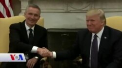 Trump ligel Rêberên NATO Dicive