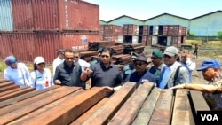 Komisi IV DPR RI, Gakkum KLHK, Dinas Kehutanan Provinsi Jawa Timur, dan BBKSDA Jawa Timur, meninjau barang bukti kayu merbau ilegal hasil penyitaan total 440 kontainer (foto VOA/Petrus).