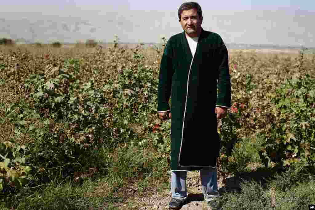 A cotton farmer outside of Dushanbe. (VOA - Y. Weeks)