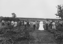 Native American students working in the vegetable garden at the Chilocco Indian School in Oklahoma, 1909.