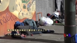 Mandarin American Report 775 - 美國專訊 775 (普通話)