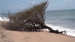 Le Ghana menacé par l'érosion de ses côtes