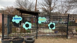 Quiz- City Gardens Educate, Create Community