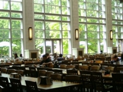 미국 밴더빌트대학교 학생들이 교내 식당에서 점심을 먹고 있다.