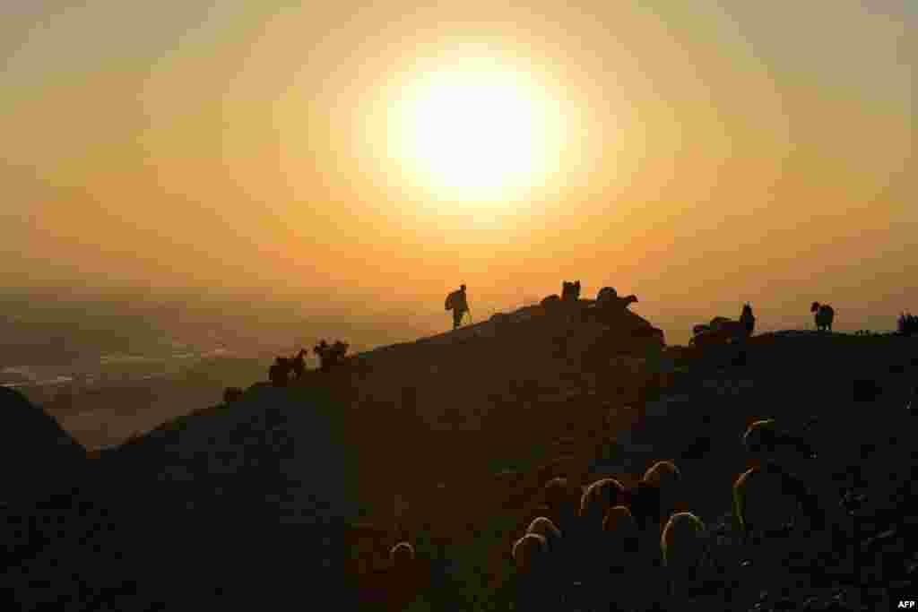 A shepherd leads his herd of sheep and goats on a hilltop during sunset near Jalalabad, Afghanistan.