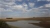 Aide d'urgence chiffrée à un milliard de dollars pour la sécheresse en Afrique australe 