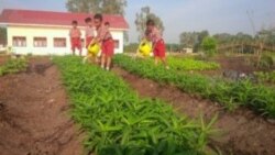 Murid-murid SD Suka Makmur di Kecamatan Lalan, Kabupaten Musi Banyuasin, Sumatera Selatan dilibatkan dalam pelestarian lahan. (Foto: Courtesy/Badan Restorasi Gambut)