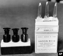 FILE - This March 1931 file photo shows ampules of the BCG vaccine against tuberculosis in a laboratory at the Institute Pasteur in Paris, France. Dec. 2, 1947 file photo.