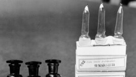 FILE - This March 1931 file photo shows ampules of the BCG vaccine against tuberculosis in a laboratory at the Institute Pasteur in Paris, France. Dec. 2, 1947 file photo.