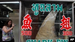 资料照片：泰国首都曼谷一家餐厅展示的鱼翅（2013年3月5日）