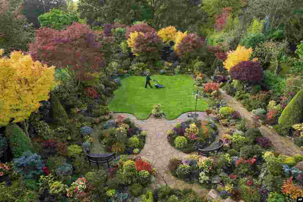 Tony Newton tends to the Four Seasons garden as it bursts into autumnal colour at his home in Walsall, West Midlands, Britain.