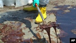 A BP cleanup crew shovels oil from a beach at Port Fourchon, Louisiana, May 24, 2010. 