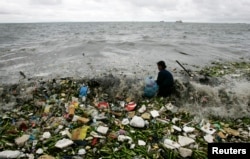 FILE - A man collects recyclable plastic materials, washed ashore by waves in Manila.