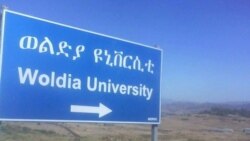 ወልዲያ ዩኒቨርስቲ ጥሪ አስተላለፈ