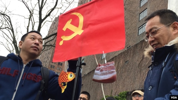 在紐約聯合國大樓前的抗議者。中共黨旗下面掛着象徵腐敗的魚肉圖片（2017年2月7日，美國之音章真拍攝）