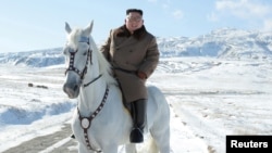 김정은 북한 국무위원장이 백마를 타고 백두산에 올랐다며 북한 '조선중앙통신'이 16일 사진을 공개했다. 