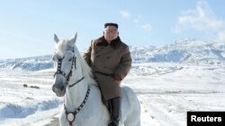 朝鲜官媒朝中社发布照片显示朝鲜领导人金正恩在朝鲜最高山峰白头山骑白马。