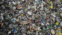 VOA Asia Time for Technology UMN 20201012