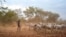 FILE - Cattle keepers walk with their cows during a seasonal migration of their cattle for grazing near Tonj, South Sudan, Feb. 16, 2020. Violence among cattle keepers has spiked as they have been migrating their cattle across the country.