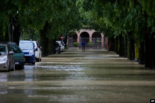 FILE - A man walks in the flooded village of Castel Bolognese, Italy, Wednesday, May 17, 2023. Exceptional rains Wednesday in a drought-struck region of northern Italy swelled rivers over their banks, killing at least eight people, forcing the evacuation of thousands and prompting officials to warn that Italy needs a national plan to combat climate change-induced flooding. (AP Photo/Luca Bruno)