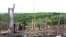 Penebangan hutan di semenanjung Kampar, propinsi Riau. (Foto: Dok)