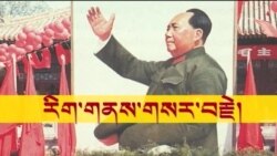 རྒྱ་ནག་ལ་རིག་གནས་གསར་བརྗེ་ལངས་ནས་ལོ་༥༠་ཕྱིན་པ།