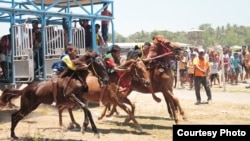 “Sumba Timur Cup 2018” adalah salah satu pacuan kuda yang menampilkan kuda-kuda Sumba terbaik. (Courtesy: Max FM Waingapu) 