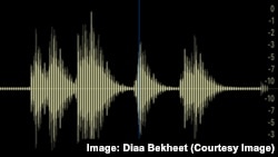 A generate waveform image from an audio file, Sunday, Jan. 7, 2018. (Photo: Diaa Bekheet)