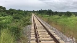 Cacuso contra a cólera em Malanje