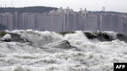 High waves batter a beach in the southern port city of Busan, Sept. 7, 2019 as Typhoon Lingling approaches the Korean Peninsula.