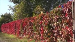 Փոքր մարզի մեծ արտագաղթը կարող են կասեցնել միայն նոր աշխատատեղերը