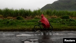 FILE - A man cycles past a sugar cane field near Amatitlan, Guatemala.